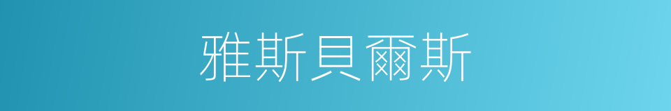 雅斯貝爾斯的同義詞