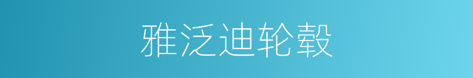 雅泛迪轮毂的同义词