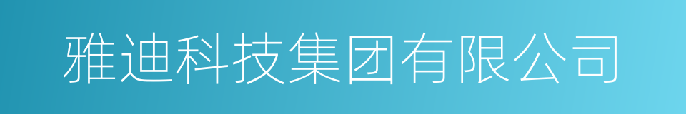 雅迪科技集团有限公司的同义词