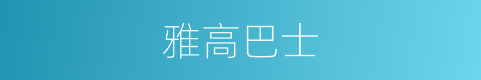 雅高巴士的同义词