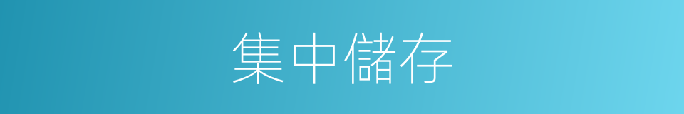 集中儲存的同義詞