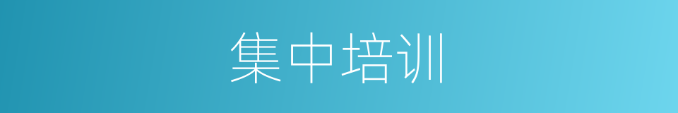 集中培训的同义词