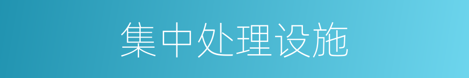 集中处理设施的同义词