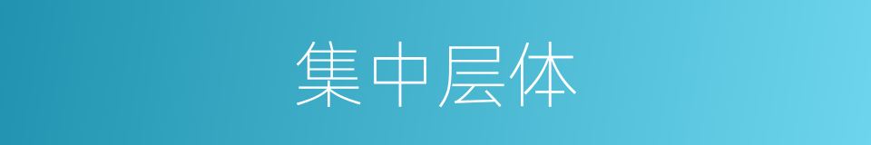 集中层体的意思