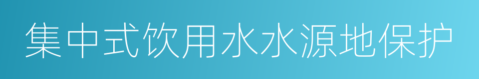 集中式饮用水水源地保护的同义词