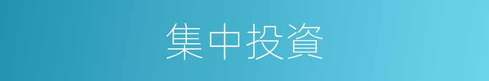 集中投資的同義詞