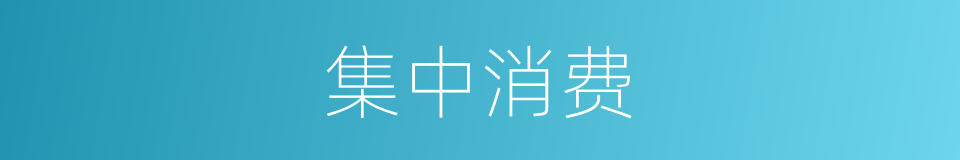 集中消费的同义词