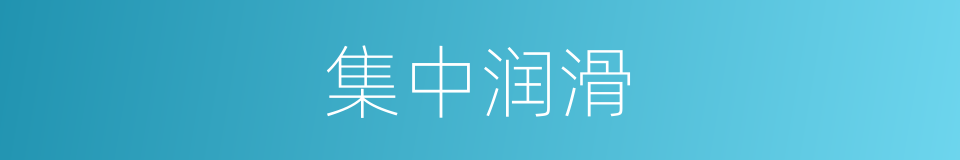 集中润滑的同义词