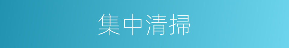 集中清掃的同義詞