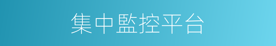 集中監控平台的同義詞