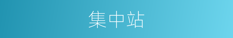 集中站的同义词