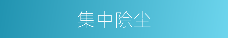 集中除尘的同义词