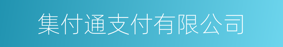 集付通支付有限公司的同义词