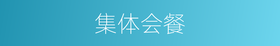 集体会餐的同义词