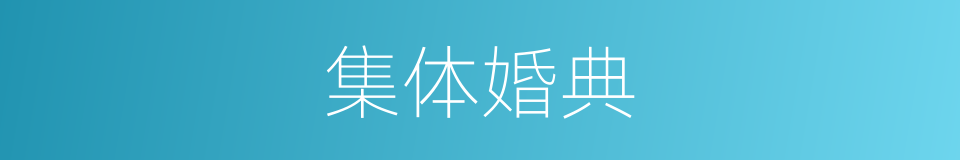 集体婚典的同义词