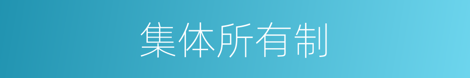 集体所有制的意思