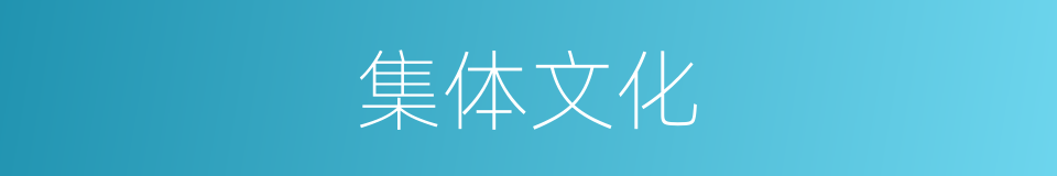 集体文化的同义词