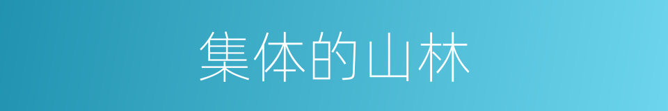 集体的山林的同义词