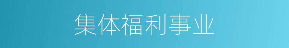 集体福利事业的同义词