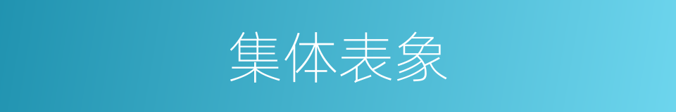 集体表象的意思