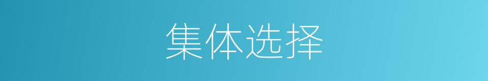 集体选择的同义词
