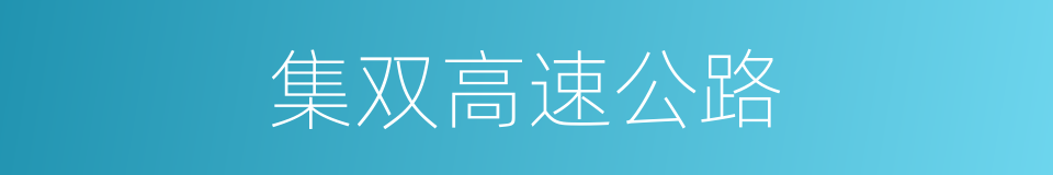 集双高速公路的同义词