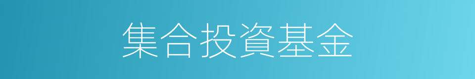 集合投資基金的同義詞