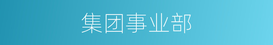 集团事业部的同义词