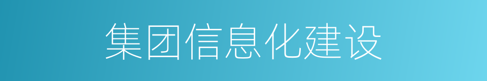 集团信息化建设的同义词