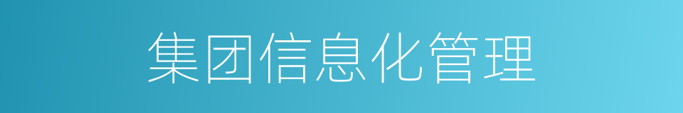 集团信息化管理的同义词