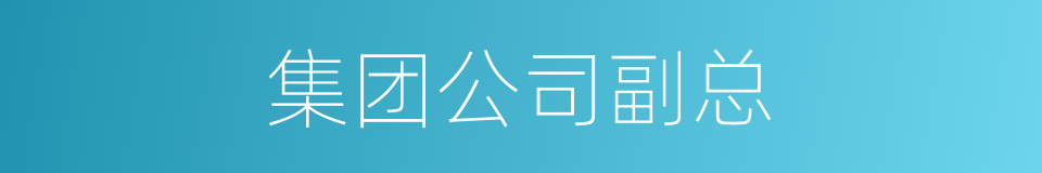集团公司副总的同义词