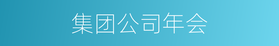 集团公司年会的同义词