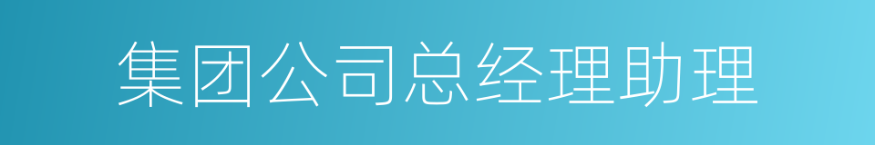 集团公司总经理助理的同义词