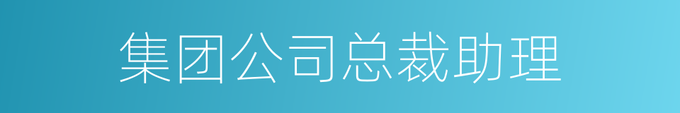 集团公司总裁助理的同义词