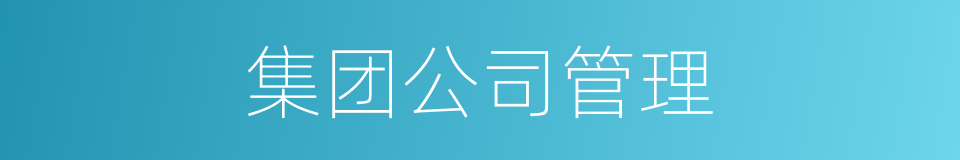 集团公司管理的同义词