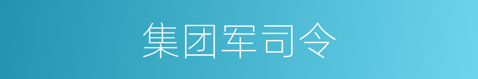 集团军司令的同义词