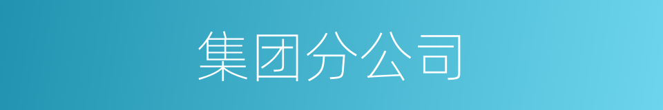 集团分公司的同义词