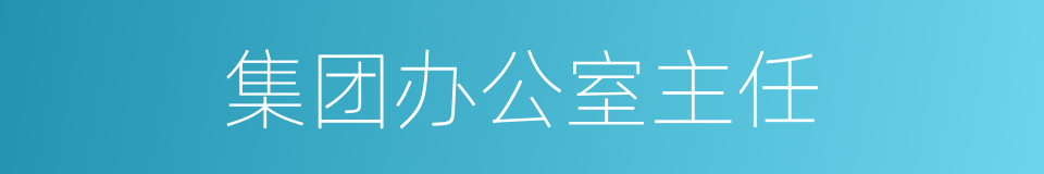 集团办公室主任的同义词