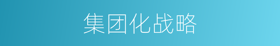 集团化战略的同义词