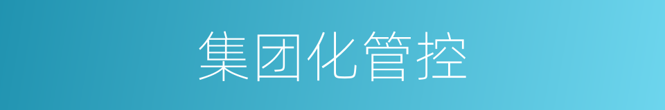 集团化管控的同义词