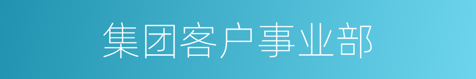 集团客户事业部的同义词