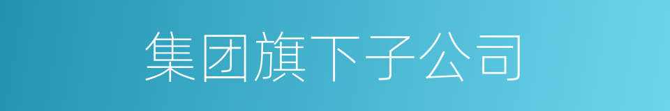 集团旗下子公司的同义词