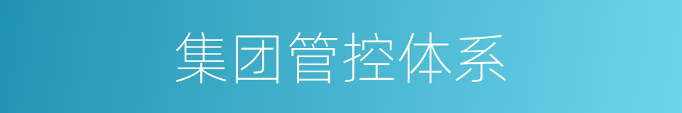 集团管控体系的同义词