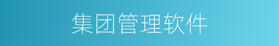 集团管理软件的同义词