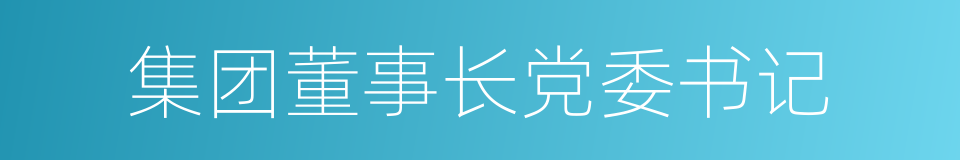 集团董事长党委书记的同义词