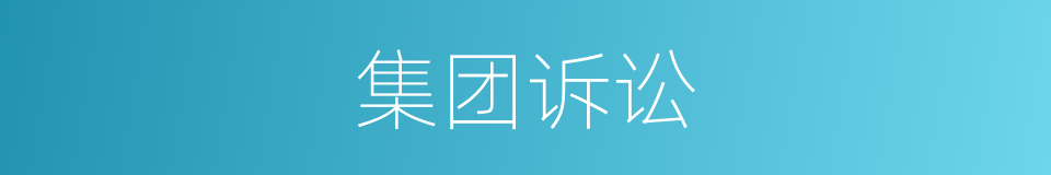 集团诉讼的同义词