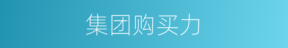 集团购买力的意思