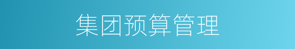 集团预算管理的同义词