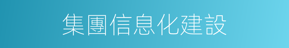 集團信息化建設的同義詞