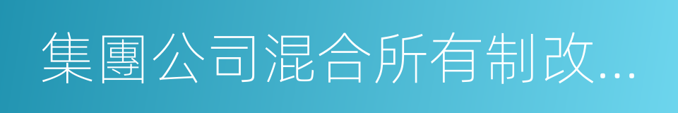 集團公司混合所有制改革指導意見的同義詞